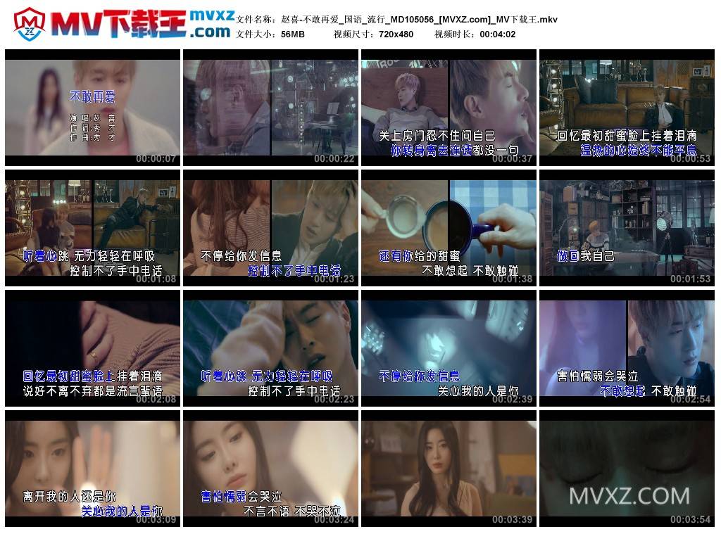 赵喜-不敢再爱_国语_流行_MD105056